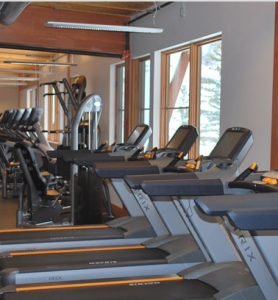 treadmills and ellipticals lined up against a wall